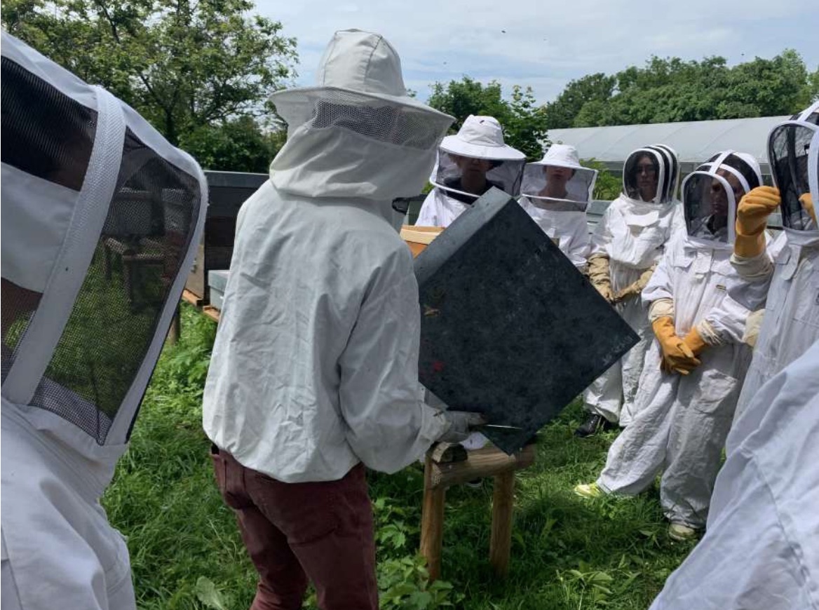 Apiculteur; Production de la gelée royale