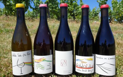 Vigneron en biodynamie – Module-III : La vendange et les travaux en verte