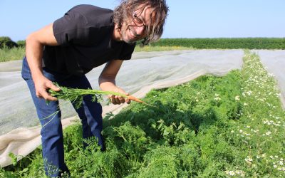 Bac Pro CGEA – Permaculture urbaine à la ferme- (3 jours)