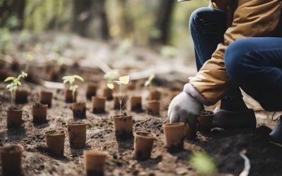 Bac Pro CGEA- Maraîcher – Permaculture urbaine à la ferme- (3 jours)